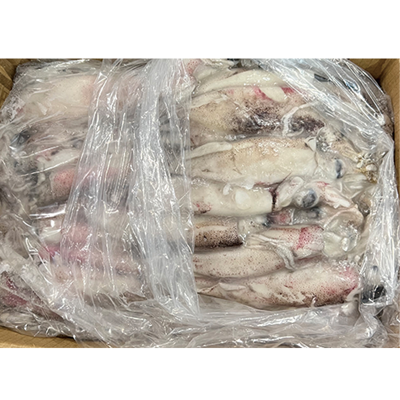 CALAMARO PATAG. 4L CONG. 12,9KG 巴塔哥尼亚小鱿鱼